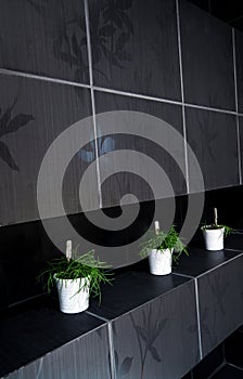 Green plants in tiled bathroom