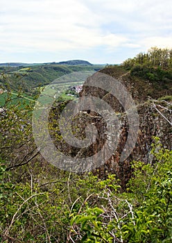 Green plants at the top of Rotenfels