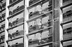 Green plastic containers