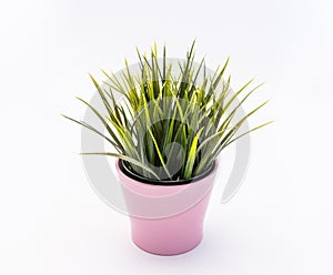 Green plastic decorative flower in a pink plastic pot is on a white background