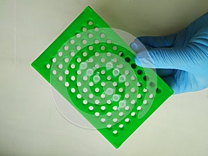 green plate with microtest tubes, PCR analysis, scientific experiment.