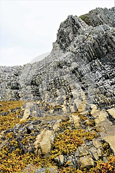 Green Point bedrock at Gros Morne