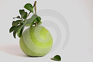 Green pomelo with branches and leaves Isolated on white background