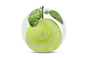 Green pomelo fruit with leaves  on white background with clipping path