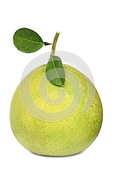 Green pomelo with leaves isolated on white background.â€‹ Pomelo, Khao Yai, Amphawa District, Thailand