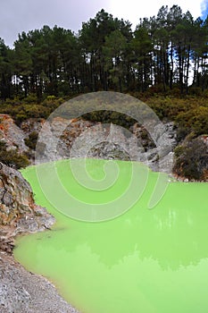 Green Pool