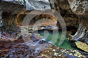 Green Pool and Tunnel at the Subway