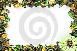 Green Potpourri border with copy space