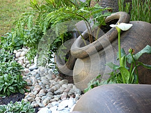 Green potted garden photo