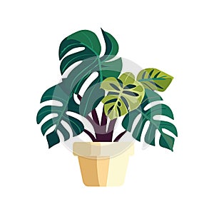 green potted plant illustration