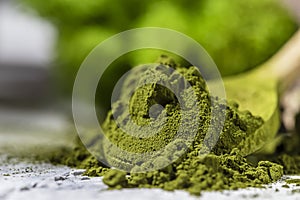 Green powder chlorella, spirulina on gray concrete background. Concept dieting, detox, healthy superfood, which contains protein