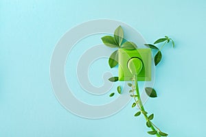 Green power cord in wall socket or outlet with fresh leaves. Ecological friendly and sustainable renewable energy concept