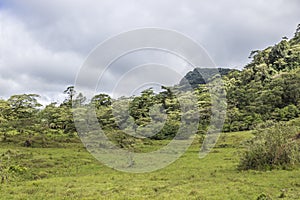 Green praire at the PeÃÂ±as Blancas Massif natural reserve, Nicaragua photo