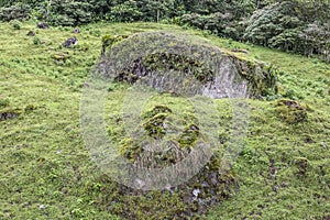 Green praire at PeÃÂ±as Blancas Massif natural reserve, Nicaragua photo