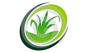 Green Project Logo vector illustration