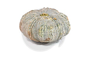 Green pumpkin isolated on white background