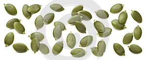 Green pumpkin seeds set isolated on white background. Single seed collection