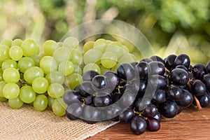 Green and purple grapes on wooden mes with blurred background