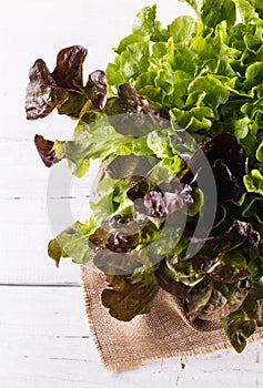 Green and purple lettuce on rustic wooden background