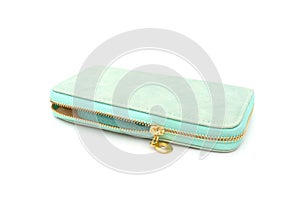 green purse on isolated