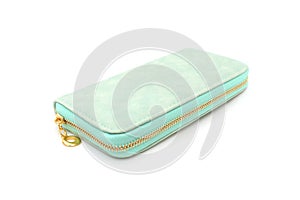 green purse on isolated