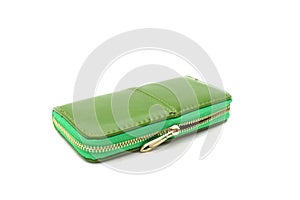 green purse on isolated