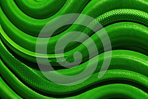 Green python snake skin texture background, generative ai
