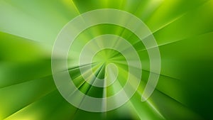 Green Radial Sunburst Background