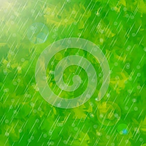 Green rain ligth blur background