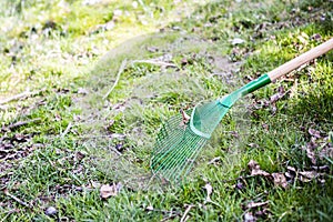 Green rake on the grass