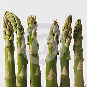green raw asparagus  on white
