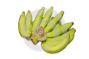 The green raw cavendish banana isolated on white background. Healthy food concept. Carbohydrate fruit