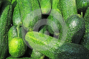 Green raw cucumber whole healthy vegetable diet food low kcal