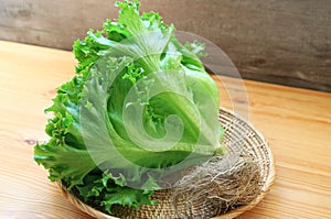 Green Raw Frillice Iceberg Lettuces on a Basket