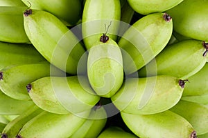 Green raw Golden bananas on white background healthy Pisang Mas Banana fruit food isolated