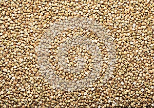 Green raw healthy organic buckwheat grain seeds textured background.Macro