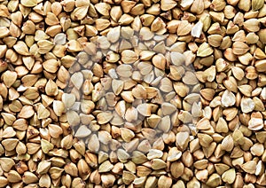 Green raw healthy organic buckwheat grain seeds textured background.Macro