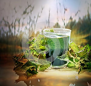 Green raw nettles and a smoothie made of nettles juice in  a glass