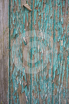 Green Real Wood Texture Background. Vintage and Old