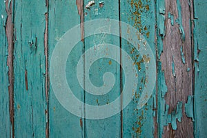 Green Real Wood Texture Background. Vintage and Old