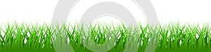 Green realistic vector grass