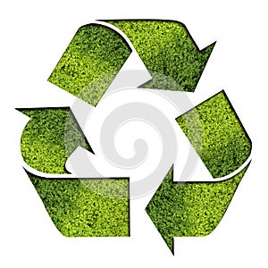 Green Recycle Symbol