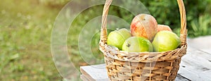 Green and red apples in wicker basket on wooden table Green grass in the garden Harvest time Horisontal banner