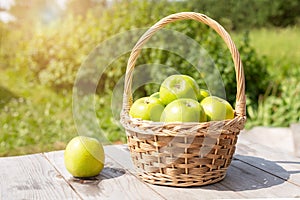 Green and red apples in wicker basket on wooden table Green grass in the garden Harvest time Sun flare