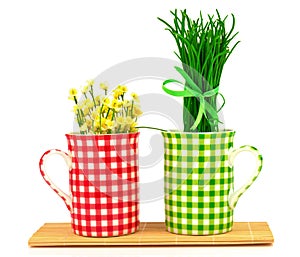 Green and red cups with spring flowers and grass with ribbon on