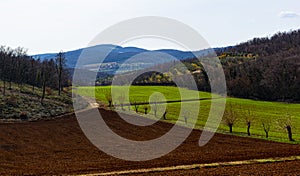 Green and red fields