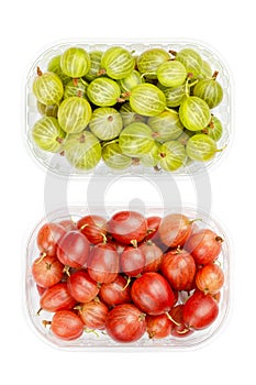 Green and red gooseberries, European gooseberries, in a plastic container