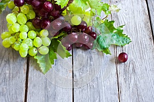 Green and red grape background