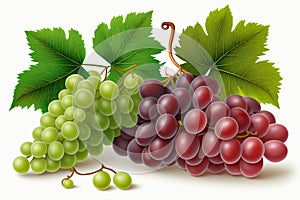 green and red grapes on a white background.