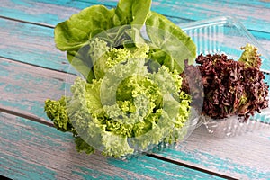 Green and red leaf lettuce on plastic container. Fresh ingredient for making healthy salad and sandwiches